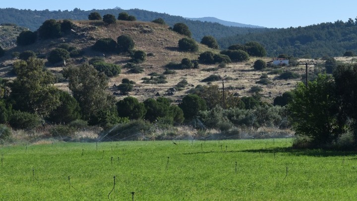 Μυτιλήνη:-Παραχωρήθηκε-δημοτική-έκταση-για-να-ανασκαφεί-και-αναδειχθεί-η-αρχαία-Αρίσβη