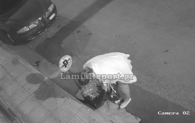 Απίστευτη-κλοπή-στη-Λαμία:-Άρπαξε-φρεσκοφυτεμένα-λουλούδια-–-Ήταν-και…-«οργανωμένη»