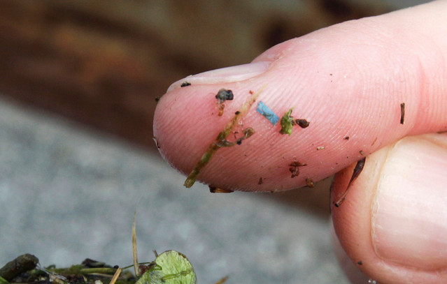 Μικροπλαστικά-στο-αίμα,-τον-εγκέφαλο-και-τα-έντερα-–- Πώς-εισχωρούν-στο-σώμα-και-ο-κίνδυνος-για-την-υγεία
