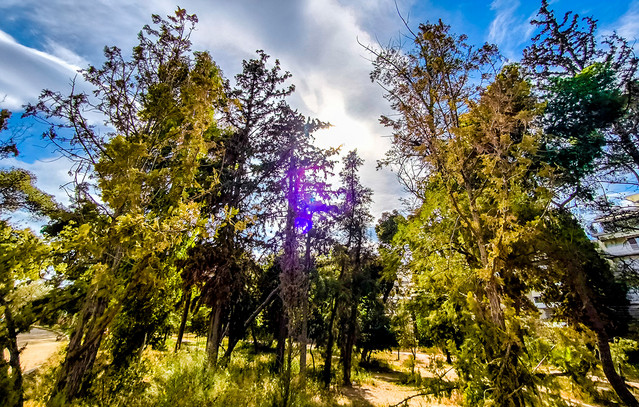 Ο-καιρός-σήμερα-14/10/2025