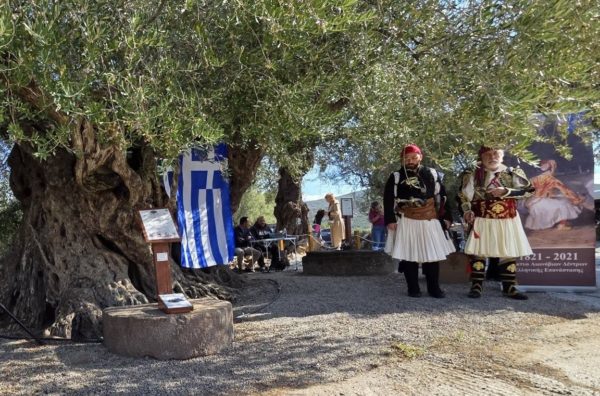 Εμβληματική-τελετή-ένταξης-της-Γηραιότερης-Ελιάς-της-Πελοποννήσου-στο-Δίκτυο-Αιωνόβιων-Δέντρων-Ελληνικής-Επανάστασης