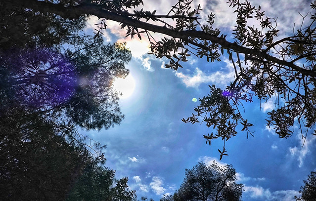 Ο-Νοέμβριος-αναμένεται-θερμότερος-από-τα-κανονικά-επίπεδα,-δείχνουν-400-σενάρια-–-Δείτε-χάρτες