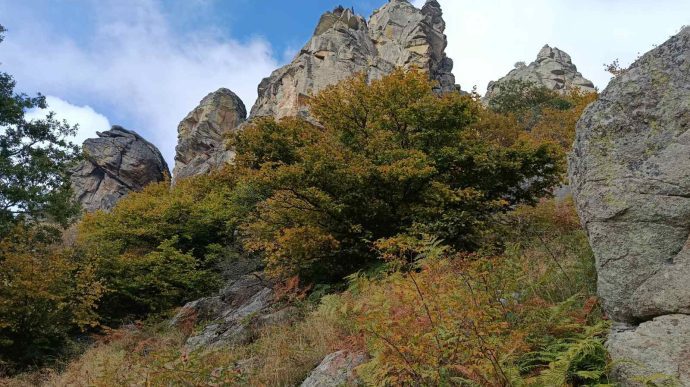 Θεία-Ευχαριστία:-Το-μυστήριο-της-Καθολικότητας-της-Εκκλησίας
