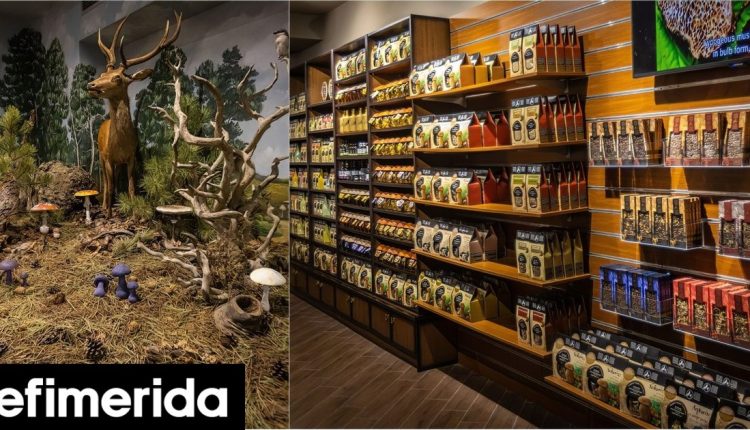 Το-ελληνικό-μουσείο-που-σπάσει-το-ένα-ρεκόρ-μετά-το-άλλο-Έχει-αποσπάσει-100+-βραβεία-σε-μόλις-10-χρόνια!