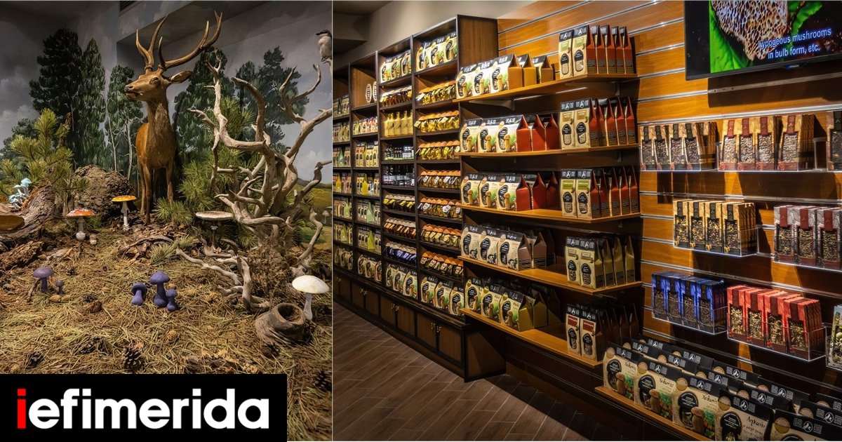 Το-ελληνικό-μουσείο-που-σπάσει-το-ένα-ρεκόρ-μετά-το-άλλο-Έχει-αποσπάσει-100+-βραβεία-σε-μόλις-10-χρόνια!