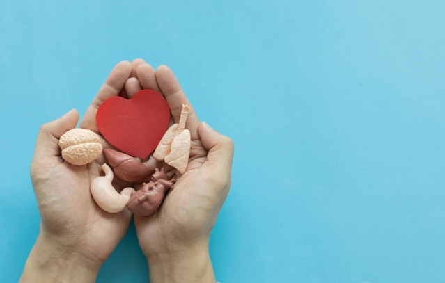 Εντυπωσιακή-ανταπόκριση-στη-δράση-για-τη-Δωρεά-Οργάνων-–-Ρεκόρ-νέων-εγγραφών,-15.000-νέοι-δωρητές-σε-10-ημέρες