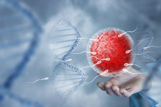 Γιατί-οι-μεγαλύτεροι-σε-ηλικία-πατέρες-μεταδίδουν-πιο-επιβλαβείς-μεταλλάξεις-στα-παιδιά-–-Το-φαινόμενο-των-«εγωιστικών»-σπερματοζωαρίων