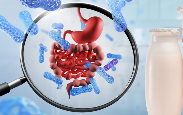 Ποια-η-διαφορά-ανάμεσα-στα-προβιοτικά-και-τα-πρεβιοτικά