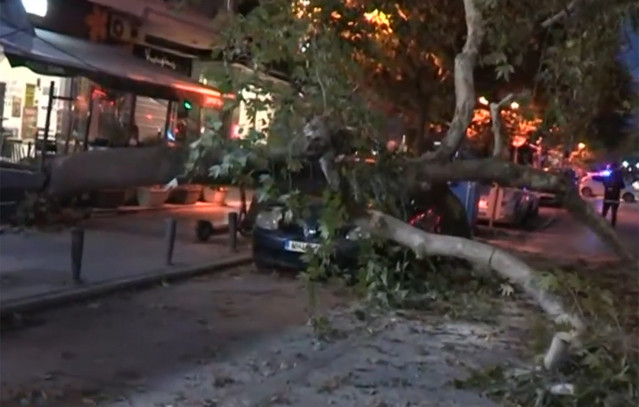 Συναγερμός-για-δέντρο-που-έπεσε-πάνω-σε-σταθμευμένο-αυτοκίνητο-στη-Θεσσαλονίκη-–-Κλειστό-το-ρεύμα-προς-Κωνσταντινουπολίτικα