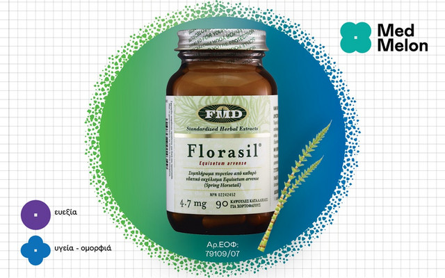 Εκουιζέτο:-Υπήρχε-πριν-τους-δεινόσαυρους-και-συνεχίζει-να-μας-δυναμώνει!