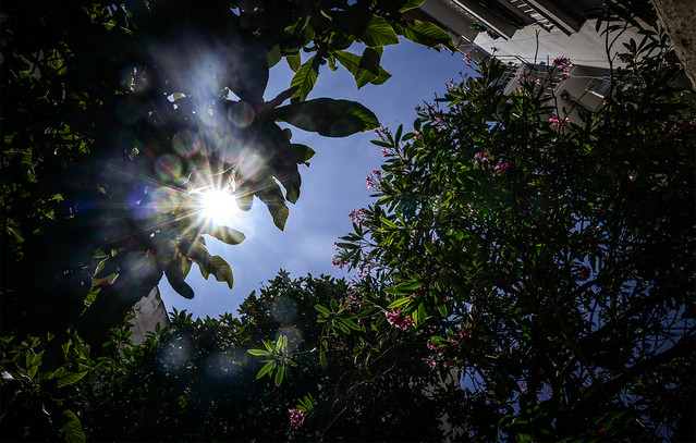 Καιρός:-Ανοιξιάτικο-το-τετραήμερο-που-έρχεται-–-Πόσο-θα-δείξουν-τα-θερμόμετρα-την-28η-Οκτωβρίου