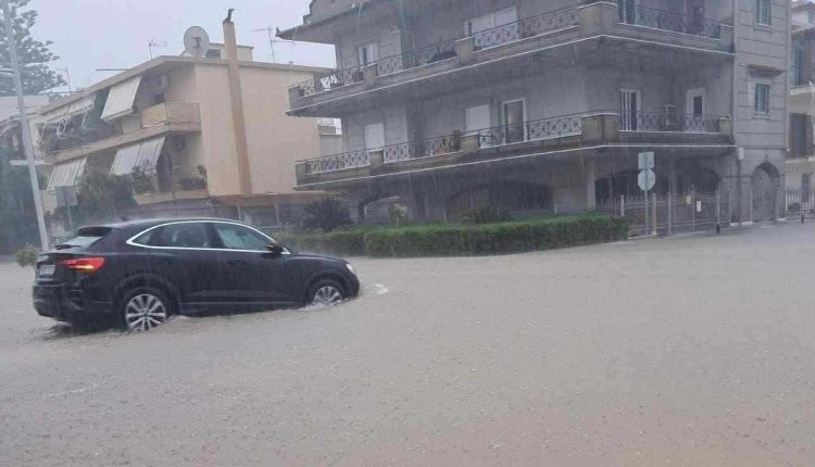 Μεσολόγγι:-Βελτιωμένη-η-κατάσταση-μετά-τη-χθεσινή-βροχόπτωση-–-Επίθεση-δέχθηκε-εργαζόμενος-του-Δήμου-–-ertnews.gr