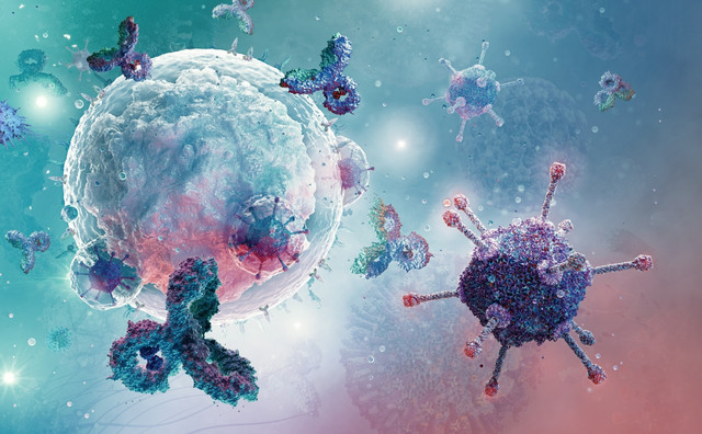 Ανοσοποιητικό-σύστημα:-Μύθοι-και-αλήθειες-–-Πώς-να-ενισχύσετε-πραγματικά-την-άμυνα-του-οργανισμού