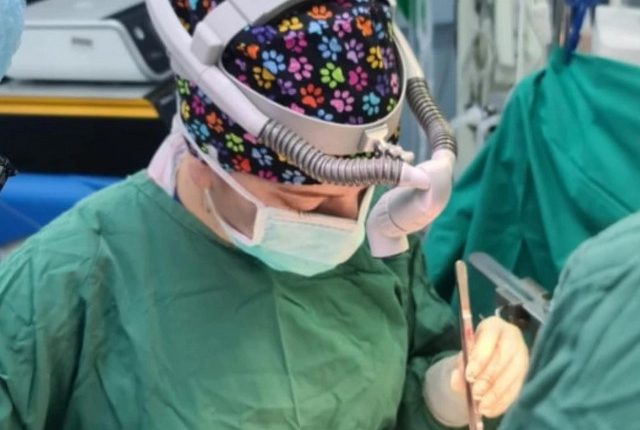 Κωνσταντίνα-Ελένη-Καρακάση,-η-πρώτη-γυναίκα-χειρουργός-μεταμοσχεύσεων-ήπατος-στην-Ελλάδα