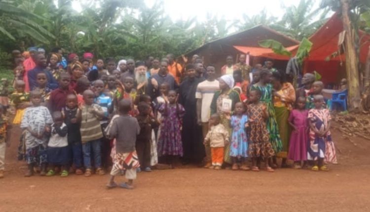 Ανισόρροποι-συνεργάτες