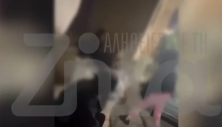 Άγριο-βίντεο-με-ξυλοδαρμό-13χρονης-στο-Περιστέρι-με-αφορμή-ένα-αγόρι