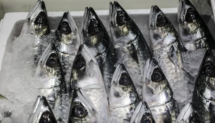 Επιχείρηση-για-την-καταπολέμηση-του-παρεμπορίου-στις-παρυφές-λαϊκών-αγορών-του-Πειραιά