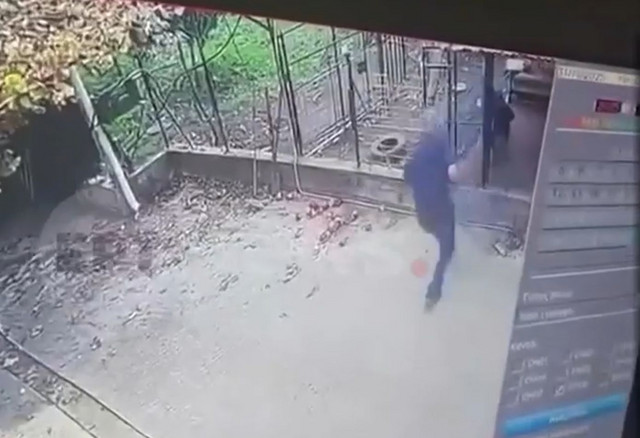 Πώς-έγινε-η-άγρια-επίθεση-του-ροτβάιλερ-στον-76χρονο-στην-Καλαμάτα-–-Σοκάρουν-οι-εικόνες