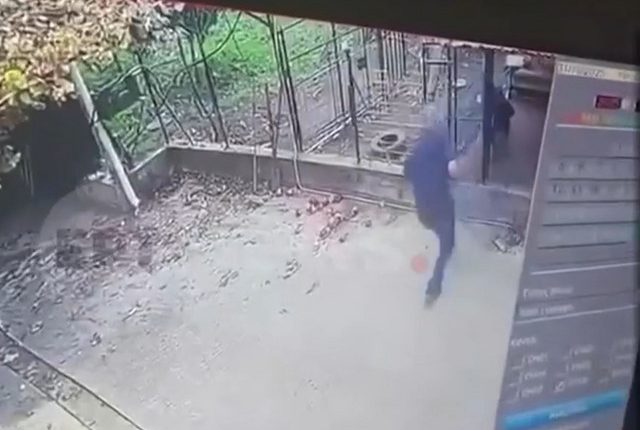 «Ο-σκύλος-μας-είναι-μέλος-της-οικογένειάς-μας-εδώ-και-δέκα-χρόνια»-–-Τι-λέει-ο-γιος-του-76χρονου-που-δέχτηκε-την-επίθεση-από-το-ροτβάιλερ