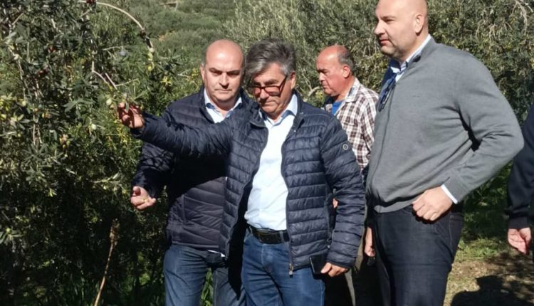 Στις-πληγείσες-περιοχές-της-Αργολίδας-μετέβη-κλιμάκιο-της-Περιφέρειας-και-του-ΕΛΓΑ-για-τις-ζημιές-από-την-κακοκαιρία-«adel»-–-Περιφέρεια-Πελοποννήσου