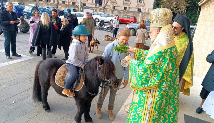 Εορτή-Αγίου-Μοδέστου-στη-Ρόδο-–-Πιστοί-προσήλθαν-στον-Αγιασμό-με-τα-ζώα-τους
