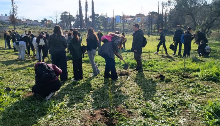 Δενδροφύτευση-στην-πυρόπληκτη-περιοχή-της-Ιεράς-Μονής-Πεντέλης-από-μαθητές