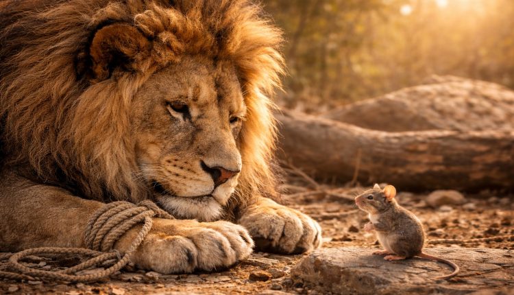 Οι-μύθοι-του-Αισώπου-ως-προπαιδεία-του-Ευαγγελίου-–-Του-Μητροπολίτου-Σουηδίας-Κλεόπα