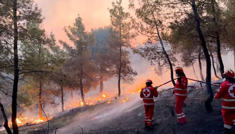 Ο-Ελληνικός-Ερυθρός-Σταυρός-στην-πρώτη-γραμμή-της-προφοράς-και-το-2025