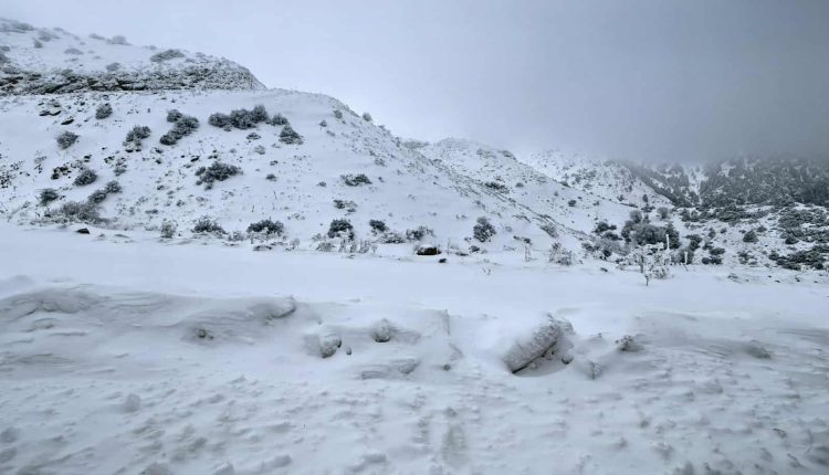 Κατάλευκο-τοπίο-στα-ορεινά-της-Αχαΐας-–-Με-αντιολισθητικές-η-κυκλοφορία-–-ertnews.gr