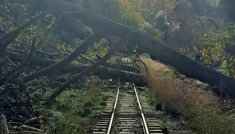 Διακόπηκαν-τα-δρομολόγια-των-τρένων-στη-γραμμή-Διακοπτό-–-Καλάβρυτα-λόγω-πτώσης-δέντρου-στις-ράγες-–-ertnews.gr