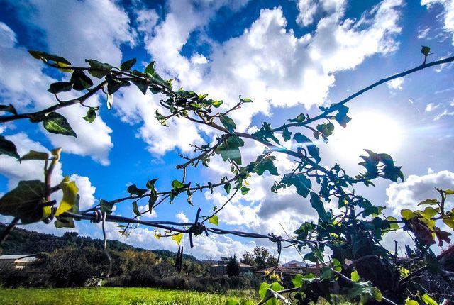 «Άνοιξη-στην-καρδιά-του-χειμώνα»:-Αφρικανική-σκόνη-και-θερμοκρασίες-έως-22-βαθμούς-Κελσίου-–-Πού-αναμένονται-βροχές