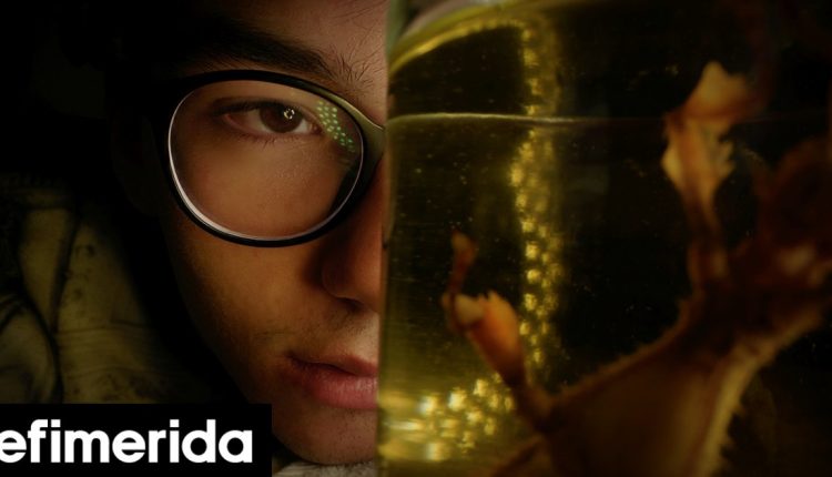 Τα-57-μεγάλου-μήκους-ελληνικά-ντοκιμαντέρ-που-θα-δούμε-στο-Φεστιβάλ-Θεσσαλονίκης-Και-διαδικτυακά,-ο-τρόπος