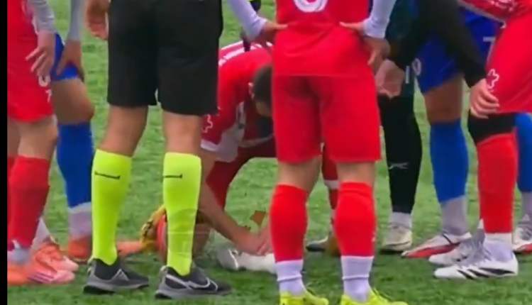 Γλάρος-τραυματίστηκε-από-βολέ-γκολκίπερ,-όμως-σώθηκε-από-το-ΚΑΡΠΑ-του-αρχηγού