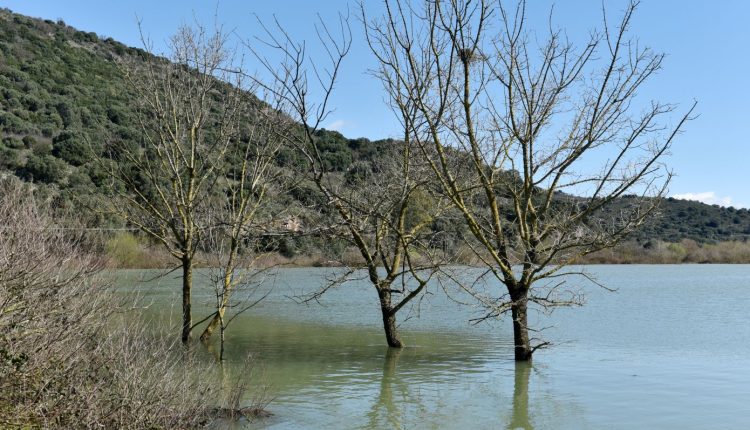 Συναγερμός-στο-Σουφλί-από-τη-θραύση-αναχώματος-στην-Κορνοφωλιά-–-Κάτω-από-το-νερό-χιλιάδες-στρέμματα