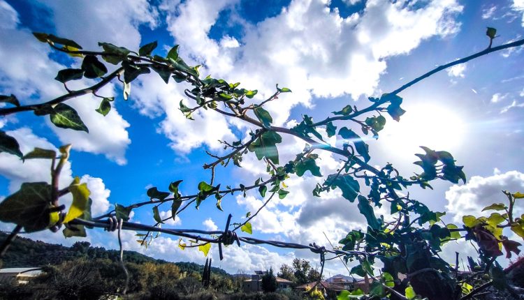 Αίθριος-σχεδόν-σε-όλη-τη-χώρα-ο-καιρός-–-Πόσο-θα-δείξουν-τα-θερμόμετρα