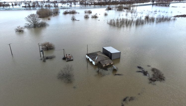Εικόνες-καταστροφής-από-τον-Έβρο-–-Μάχη-στο-Σουφλί-για-να-σωθούν-40.000-στρέμματα,-κρίσιμες-οι-επόμενες-ώρες