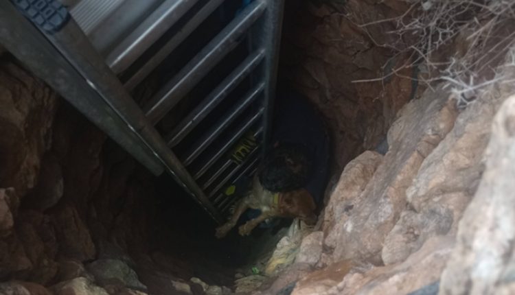 Σύρος:-Σκύλος-σώθηκε-μέσα-από-πηγάδι-15-μέτρων-–-Τον-έψαχναν-για-10-ημέρες