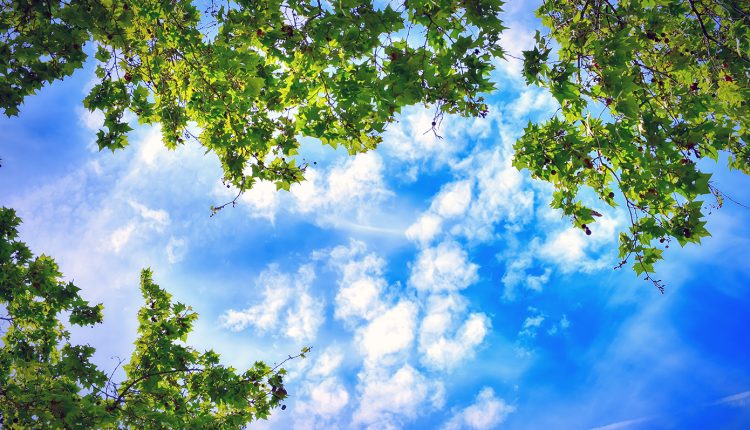 «Διπλό-πρόσωπο»-θα-έχει-ο-Μάρτιος-στο-σκηνικό-του-καιρού-–-«Μεγάλη-θερμοκρασιακή-διαφορά-πρωί-και-μεσημέρι»,-λέει-ο-Μαρουσάκης