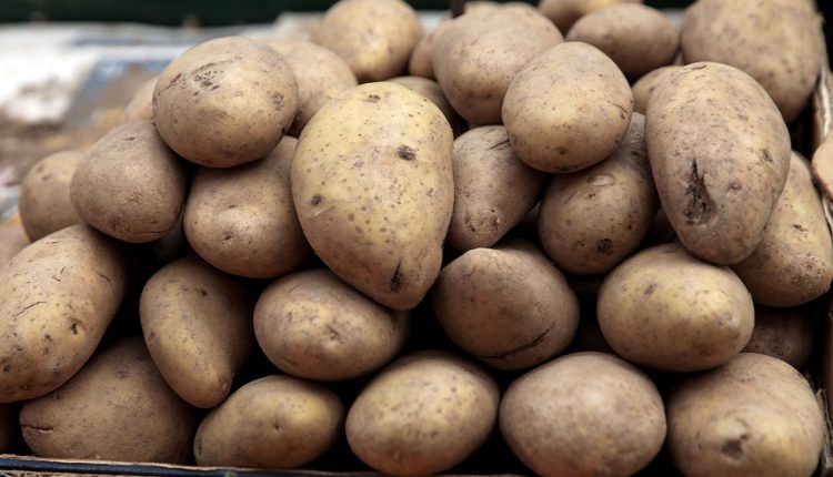 Αποκαλύφθηκε-απάτη-με-πατάτες-Αιγύπτου-που-πωλούνταν-ως-ελληνικές-–-Πρόστιμα-62.000-ευρώ