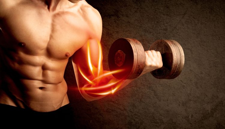Θέλετε-να-χτίσετε-μυϊκή-μάζα;-Αυτά-είναι-που-πρέπει-να-γνωρίζετε