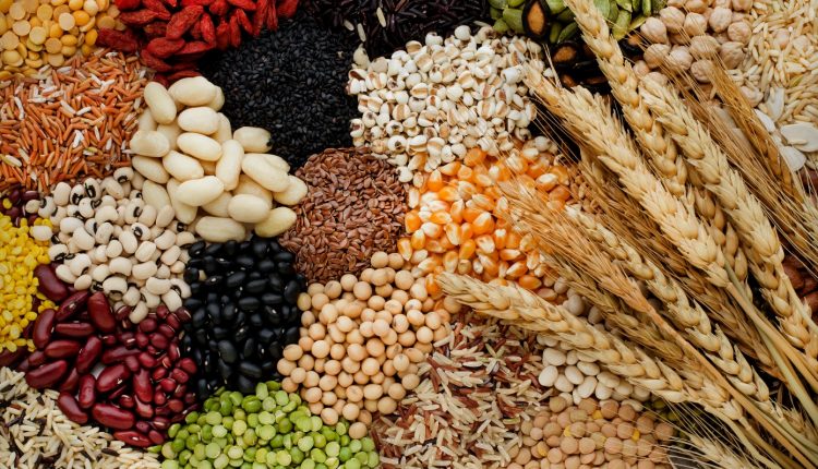 6-τροφές-που-είναι-πλούσιες-και-σε-πρωτεΐνη-και-σε-φυτικές-ίνες