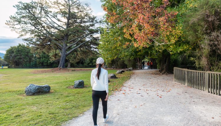 Γυμναστική-και-διατροφή,-όπλα-κατά-της-εμφάνισης-καρκίνου-του-παχέος-εντέρου-–-Πλατφόρμα-για-την-πρόληψη-της-νόσου