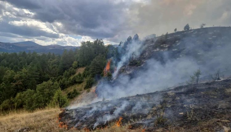 Αχαΐα:-Φωτιά-στην-Αρραβωνίτσα-Αιγιαλείας