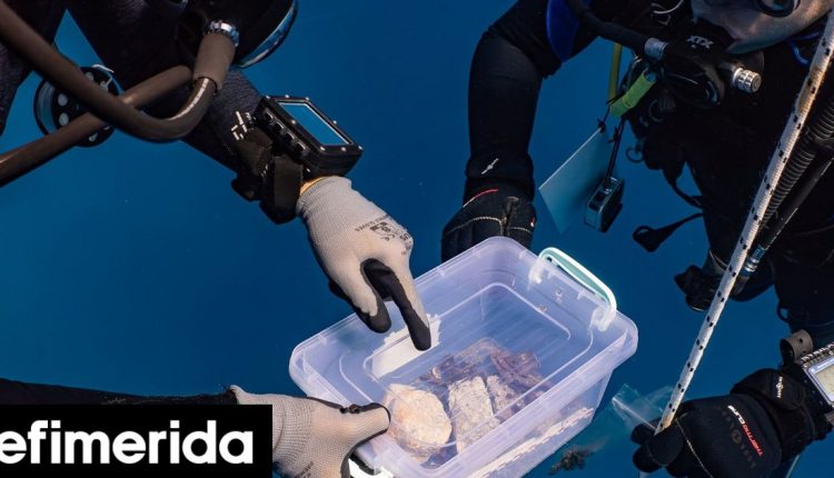 Νέα-ευρήματα-από-το-ιστορικό-ναυάγιο-«Μέντωρ»-Εντοπίστηκε-θραύσμα-γλυπτού-διακόσμου-από-το-πολύτιμο-φορτίο-του,-δείτε-εικόνες
