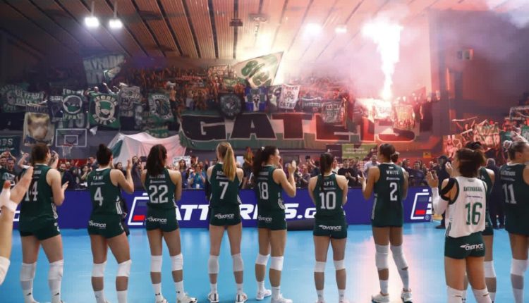 Παναθηναϊκός:-Το-μήνυμα-της-ΚΑΕ-για-τα-κορίτσια-του-βόλεϊ-μετά-την-ήττα-από-τη-Βαλεφόλια