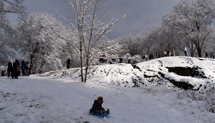 Ντύθηκε-στα-λευκά-η-Πάρνηθα-–-Χιονισμένα-τα-καταφύγια-Μπάφι-και-Φλαμπούρι