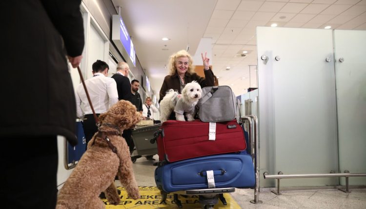 «Συγκινητικές-σκηνές-στην-Αθήνα»-–-Μεγάλο-ενδιαφέρον-διεθνών-ΜΜΕ-για-την-ελληνική-επιχείρηση-επαναπατρισμού-κατοικιδίων-από-τη-Μέση-Ανατολή