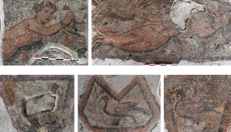 Δρομολογείται-η-αποκατάσταση-και-η-ανάδειξη-ρωμαϊκής-έπαυλης-στο-Αμύνταιο-της-Φλώρινας,-με-ψηφιδωτά-και-τοιχογραφίες