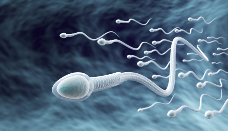 Αυτή-η-κοινή-συνήθεια-καταστρέφει-το-σπέρμα-σας