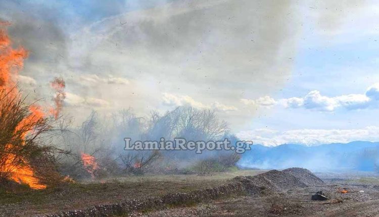 Πριν-καλά-καλά-ζεστάνει,-άρχισαν-οι-πυρκαγιές:-Μπαράζ-διάσπαρτων-εστιών-φωτιάς-πλήττει-σήμερα-τη-Λαμία